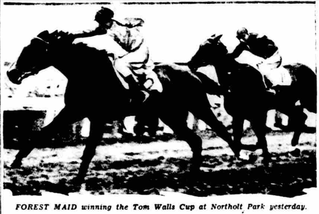 Forest Maid víťazí